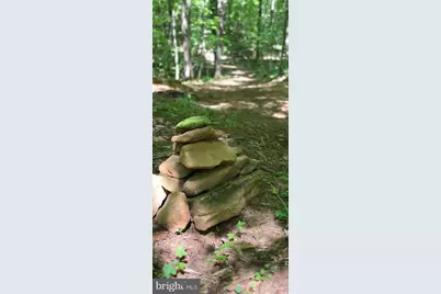 0 Thoroughfare Rd #LOT 1, Brightwood, VA 22701 - Photo 5