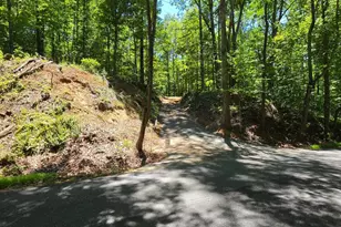 0 Thoroughfare Rd, Brightwood, VA 22701 - Photo 1