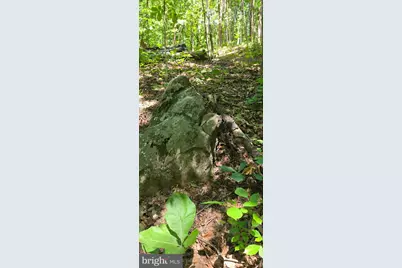 0 Thoroughfare Rd #LOT 1, Brightwood, VA 22701 - Photo 9