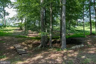 1688 Desert Rd, Reva, VA 22735 - Photo 79