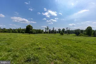 1688 Desert Rd, Reva, VA 22735 - Photo 77