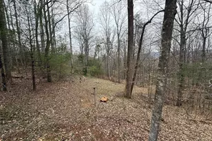 258 Laurel Dr, Madison, VA 22727 - Photo 9