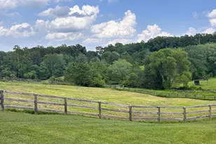 409 Cook Mountain Rd, Brightwood, VA 22715 - Photo 17