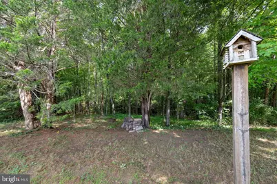 66 Wrights Lane, Madison, VA 22727 - Photo 51