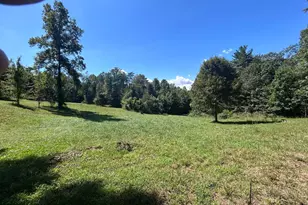 301 Dulaney Mountain Rd, Madison, VA 22727 - Photo 23