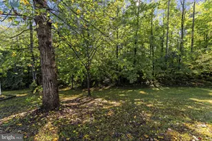 1732 Meander Run, Locust Dale, VA 22948 - Photo 69