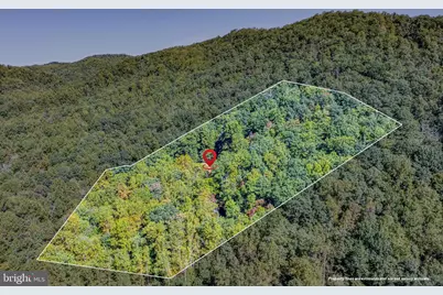 1048 Courtney Hollow Lane, Madison, VA 22727 - Photo 49