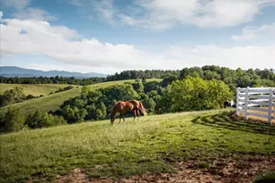 336 Jacobs Ladder, Lexington, VA 24450 - Photo 55