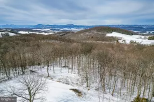 190 Ridgemore Dr, Raphine, VA 24472 - Photo 75