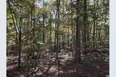 Tbd N Boston Rd, Troy, VA 22974 - Photo 1