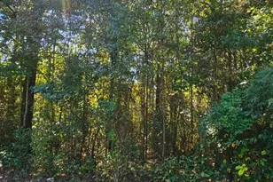 Lot 6 Thelma Ct, Greenwood, DE 19950 - Photo 1