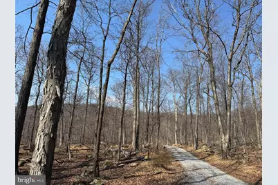 Middle Point Road, Myersville, MD 21773 - Photo 1