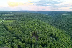 Scenic Dr, Grantsville, MD 21536 - Photo 1