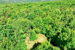 Lot 12 Windswept Ln, Grantsville, MD 21536 - Photo 1