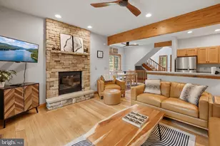 79 Marsh Hill Rd, Mc Henry, MD 21541 - Photo 1