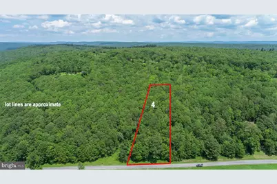 Lot 4 Greenwood Ridge Road, Accident, MD 21520 - Photo 1