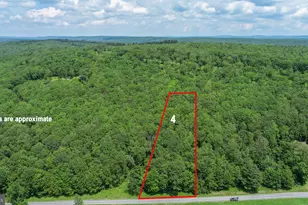 Lot 4 Greenwood Ridge Rd, Accident, MD 21520 - Photo 1