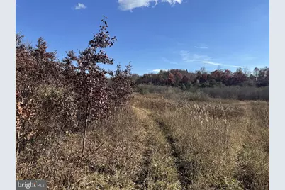 4000 Area Broadford Road, Oakland, MD 21550 - Photo 1