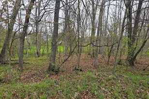 C St, Oakland, MD 21550 - Photo 1