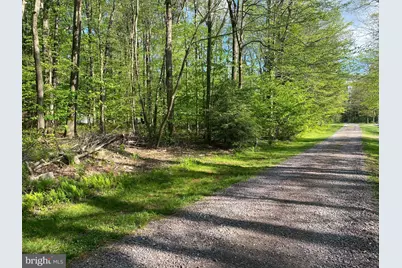 .99 Acre Rock Lodge, Accident, MD 21520 - Photo 1