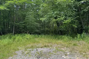 Glendale Rd, Swanton, MD 21561 - Photo 1