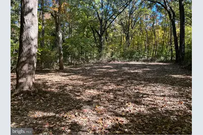 Elm Road, Chestertown, MD 21620 - Photo 1