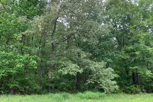 Black Bottom Rd, Galena, MD 21635 - Photo 1