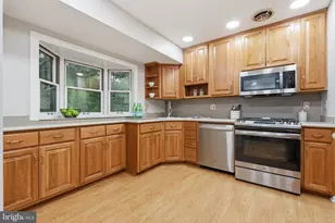 705 Wilson Ave, Rockville, MD 20850 - Photo 11