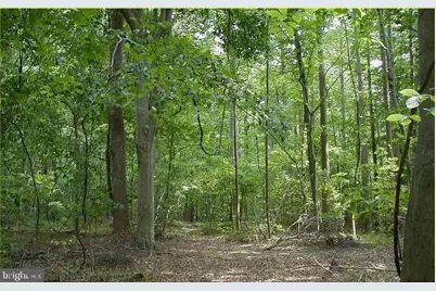 12605 Cedarville Road, Brandywine, MD 20613 - Photo 1