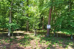 Burrisville Rd, Centreville, MD 21617 - Photo 1