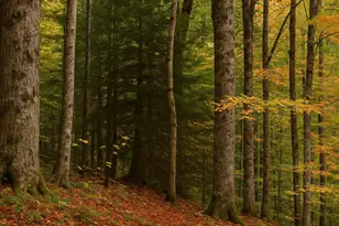 35300 Diplomat Dr, Mechanicsville, MD 20659 - Photo 1