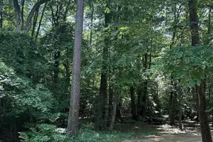 Flat Iron, Valley Lee, MD 20692 - Photo 1
