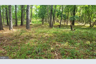 10028 N School Road, Deal Island, MD 21821 - Photo 1