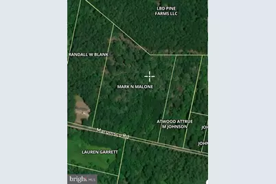 0 Marumsco Road, Marion Station, MD 21838 - Photo 1