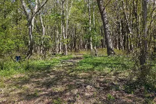 5071 Wayman Rd, Marion Station, MD 21838 - Photo 1