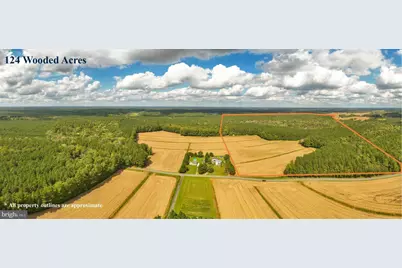 0 Bob Smith Road, Parsonsburg, MD 21849 - Photo 1