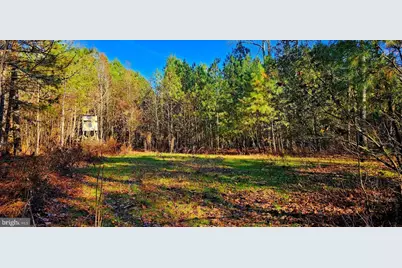0 Riverton Road, Mardela Springs, MD 21837 - Photo 1