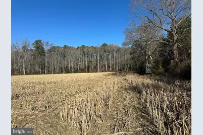 0 Bivalve Lodge Road, Bivalve, MD 21814 - Photo 1