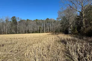 0 Bivalve Lodge Rd, Bivalve, MD 21814 - Photo 1