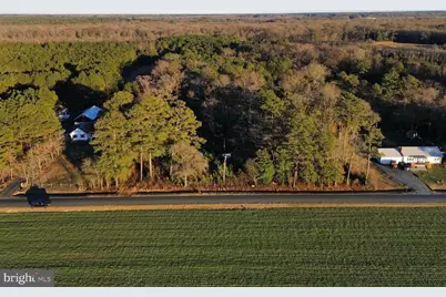 8313 Littleton Road, Willards, MD 21874 - Photo 1