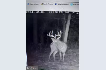 Lot2A Cardinal Drive, Salisbury, MD 21801 - Photo 1