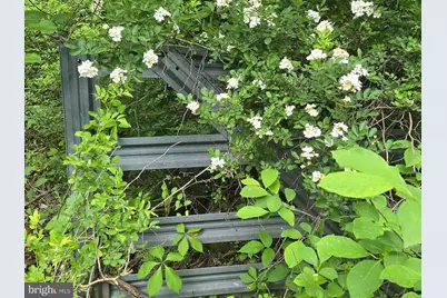 4127 Hardscrabble, Linden, VA 22642 - Photo 1