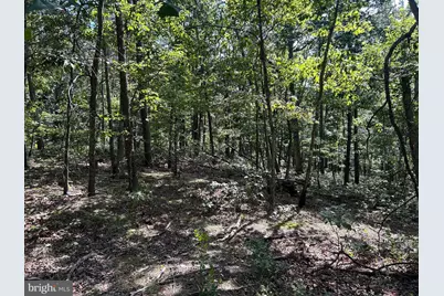 Gun Barrel Lane, Winchester, VA 22603 - Photo 1