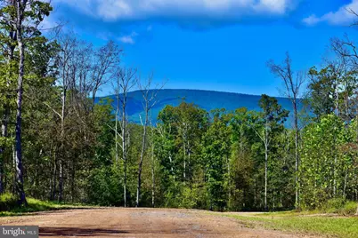 Lot 1 (128.556 Acres) Laurel Grove Road, Winchester, VA 22602 - Photo 1