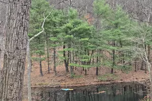 0 Shockeysville Rd, Winchester, VA 22603 - Photo 1