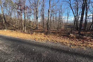 Lot 30 Cochise Trail, Winchester, VA 22602 - Photo 1