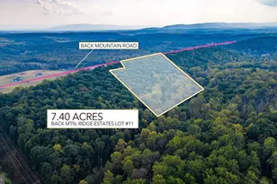 Back Mountain Road Lot 11, Winchester, VA 22602 - Photo 1
