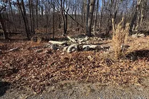 Lot 13 Crow Dr, Winchester, VA 22602 - Photo 1