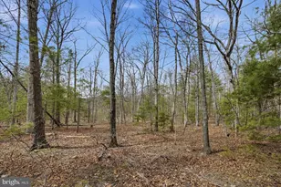 5 35 Ac # 16 B- Back Mountain Rd, Winchester, VA 22602 - Photo 1
