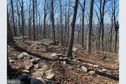 83 Bobcat Trail, Winchester, VA 22602 - Photo 1